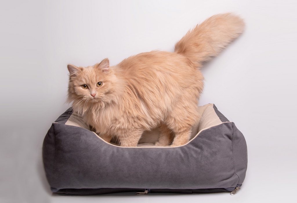 Лежанка для домашнего животного